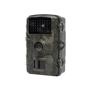 Camera animale salbatice