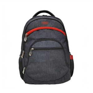 Ghiozdan Adolescenti GH553, 44.5 cm