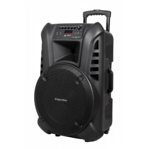 Boxa activa Kruger&Matz KM 1715