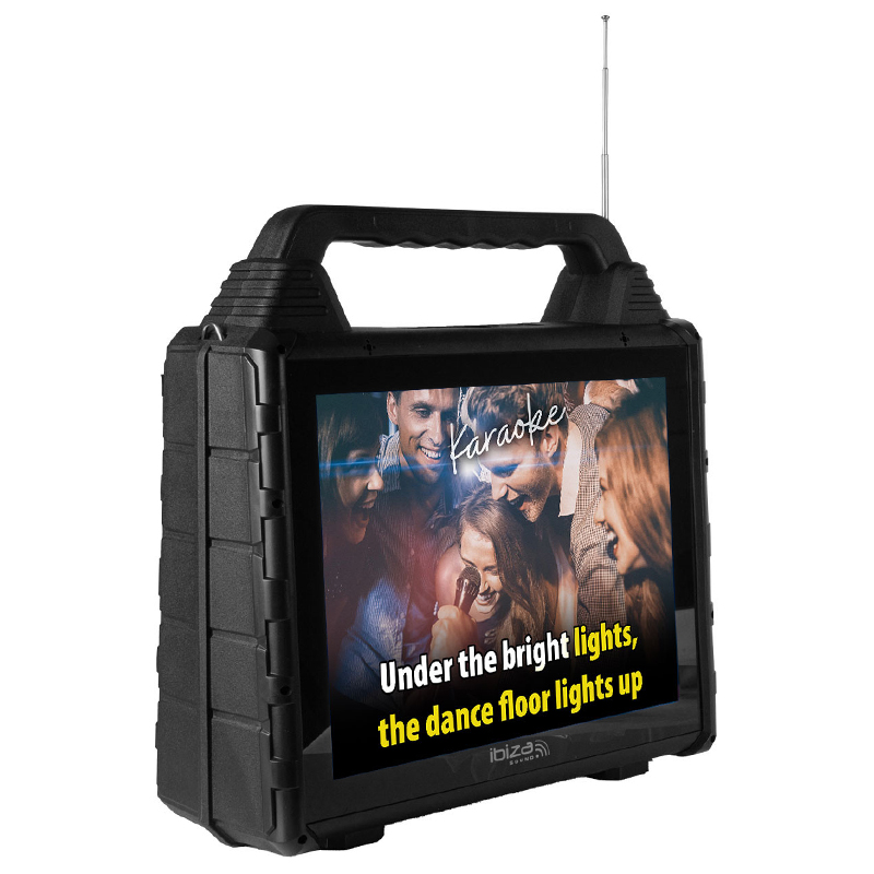 Set portabil karaoke cu ecran incorporat 14.1" si 2 mic wireless KARAVISION