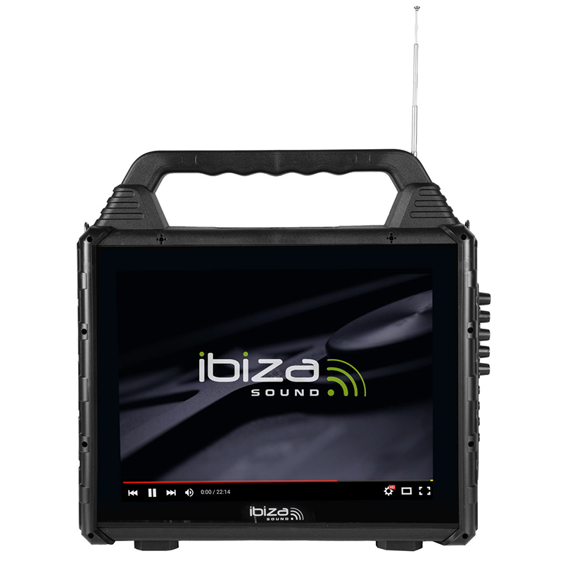 Set portabil karaoke cu ecran incorporat 14.1" si 2 mic wireless KARAVISION