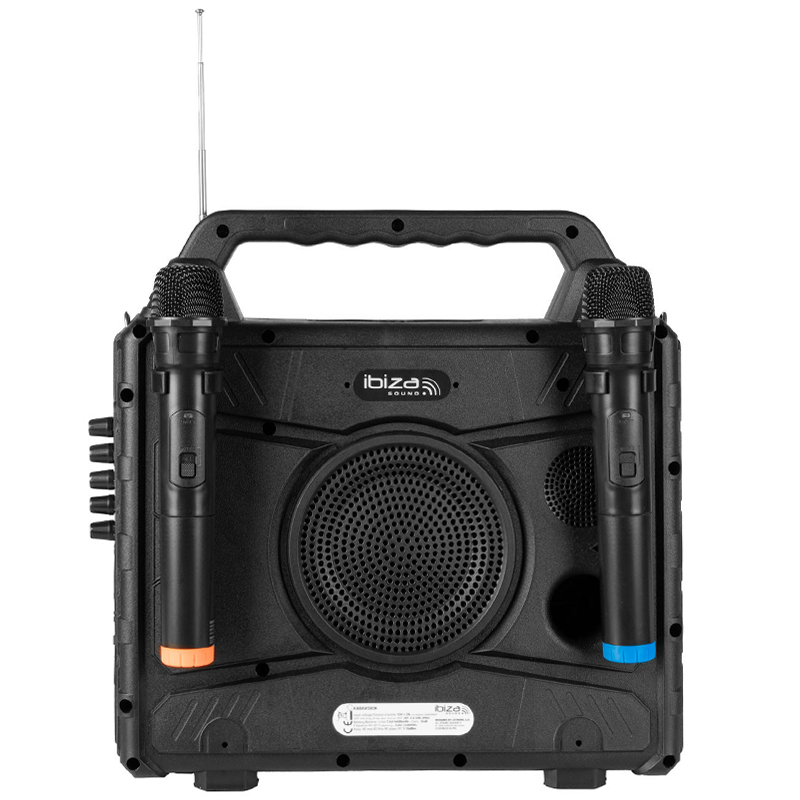 Set portabil karaoke cu ecran incorporat 14.1" si 2 mic wireless KARAVISION