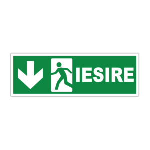 Indicator evacuare Ieșire cu săgeată în jos, fundal verde